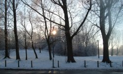 Snowy, sunny afternoon in Royton Wallpaper