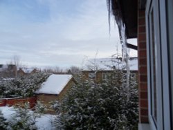 Cold Weather -7 degrees Wallpaper