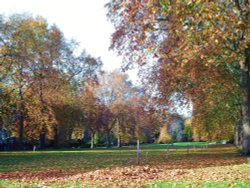 Hyde Park, London Wallpaper
