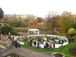 King Bladud's Pigs Reunion Wallpaper