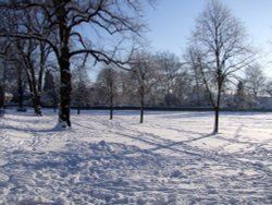 Carleton Green in the snow