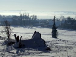 The Rookeries in December Wallpaper