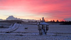 Jeskyns Park at Dawn Wallpaper