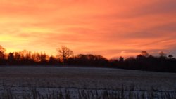 View from Jeskyns Park towards Cobham Village Wallpaper