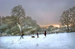 Stour Valley Winter, Shillingstone. Wallpaper