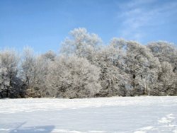 Still cold Wallpaper