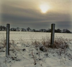 Winter evening Wallpaper