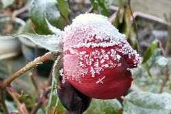 Frozen Viking Wallpaper