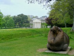 The watcher Wallpaper