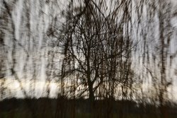 Out and about in Boroughbridge Wallpaper