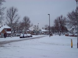 Whitton Avenue Wallpaper