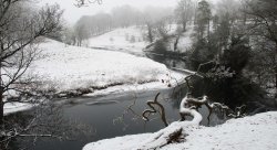 Levens Hall Park Wallpaper