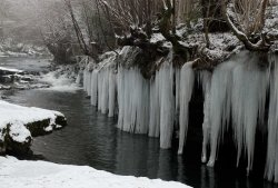 Icetights, Levens, December 2010 Wallpaper