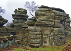 Out and about at Brimham Rocks Wallpaper