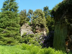 Belsay Gardens Wallpaper