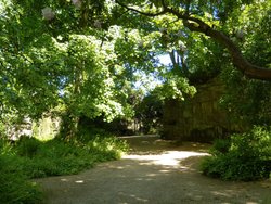 Belsay Gardens Wallpaper