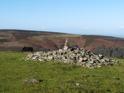 Quantock Hills Wallpaper