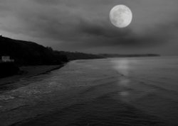 Whitby by Moonlight Wallpaper