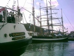 Hartlepool 2010 Tall Ships Race - August 2010 Wallpaper