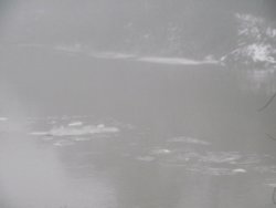 Ice flows on the River Severn Wallpaper