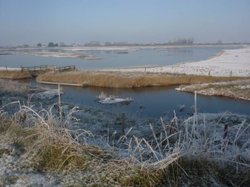 WINTER 2011 Wallpaper