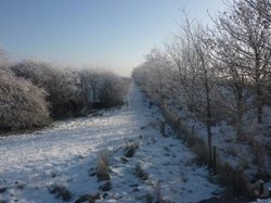 WINTER 2011 Wallpaper