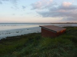 WINTER 2011 Wallpaper