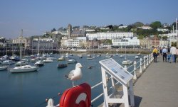 Torquay Harbour Wallpaper