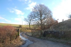 Whats on the other side Wallpaper