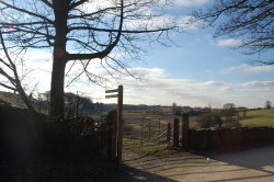 Go through the gate Wallpaper