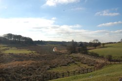 A hint of water Wallpaper