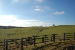Along the fence lines Wallpaper