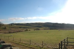 Peaceful fields Wallpaper