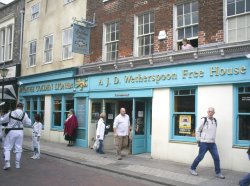 Golden Lion Wallpaper