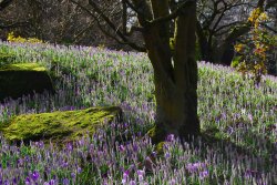 Leicester University Botanic Gardens