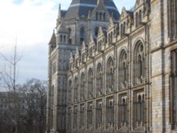 The Natural History Museum