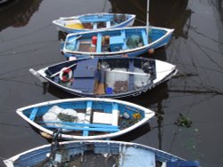 Fishing boats Wallpaper