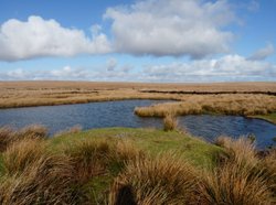 Knattabarrow Wallpaper