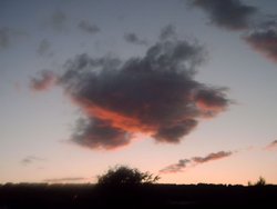 Western Skies