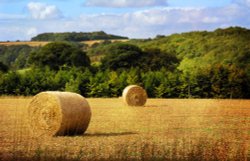 A Wolds Harvest. Wallpaper