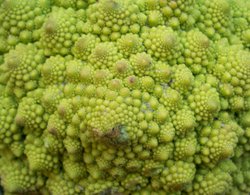 It's a, what is it? Wallpaper