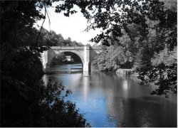 Rowers on the River Wallpaper