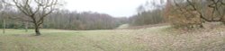 Howell Wood Park Sweep Panorama Wallpaper