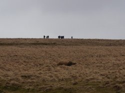 Ten Tors Wallpaper