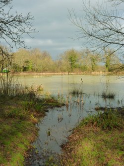 Fourwents Pond