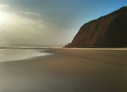 Windswept Beach Wallpaper