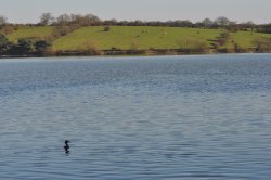 Thornton Reservoir Wallpaper