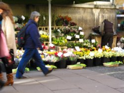 Flower Stall, Bath Wallpaper