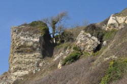 Branscombe Cliffs Wallpaper