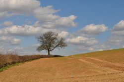 View north from Salt Street Wallpaper